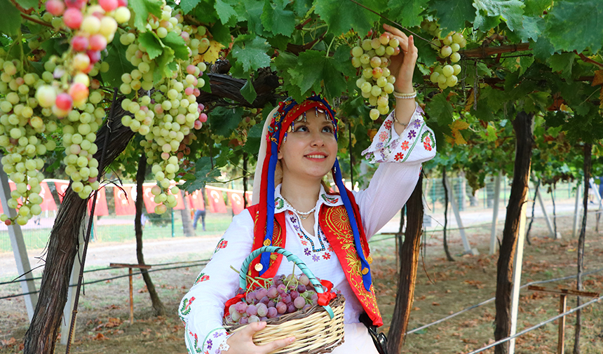 Bağ Bozumu Şenliği14