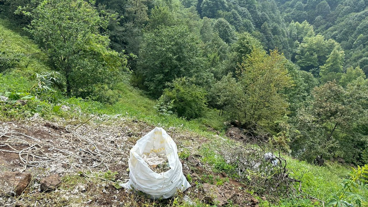 Ormana dökülen tıbbi sarf malzemeleri temizlendi