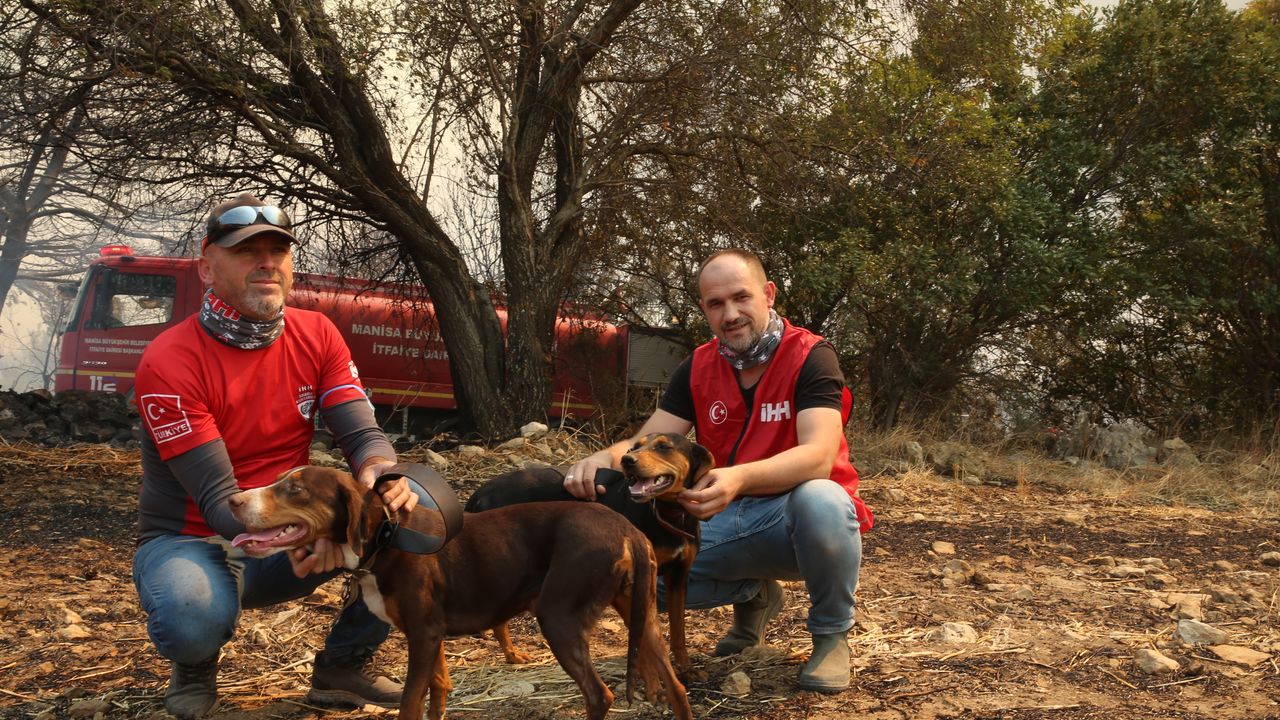Yangında mahsur kalan iki köpek kurtarıldı