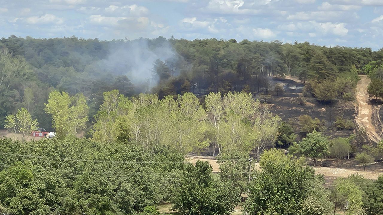 Ormanlık alanda çıkan yangın paniğe sebep oldu