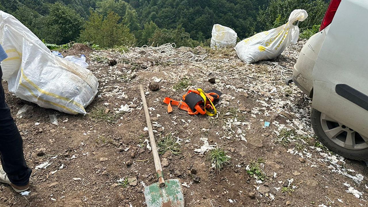 Ormana dökülen tıbbi sarf malzemeleri toplandı