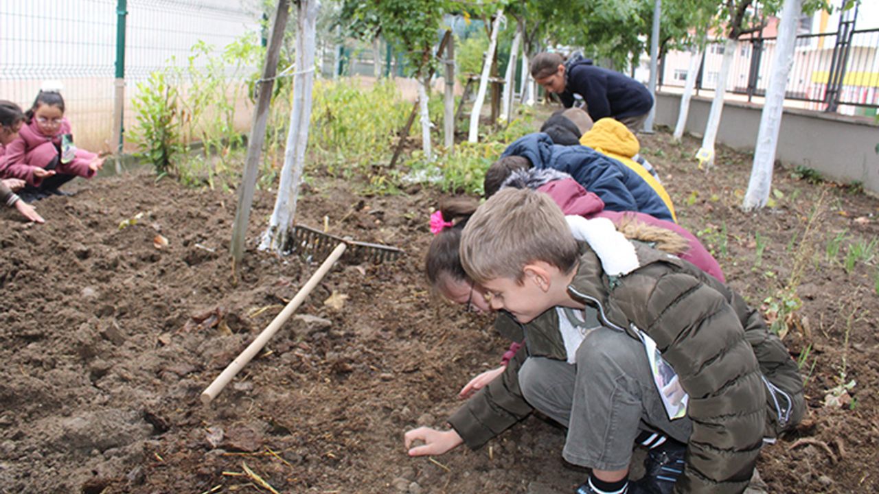Öğrenciler, okul bahçesinde sebze üretip, kümes hayvanı yetiştiriyorlar
