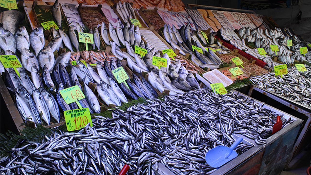 Çerkezköy’deki balık fiyatları