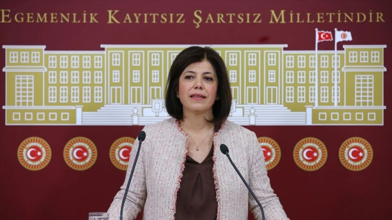 DEM Parti İstanbul adayı Meral Danış Beştaş Kimdir?