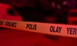 Balıkesir'de traktörle kamyonet çarpıştı: 1 kişi öldü