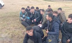Başarılı Operasyon: Tekirdağ'da 87 kaçak göçmen yakalandı