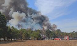 Ambardere'de 7 hektar ormanlık alan yandı