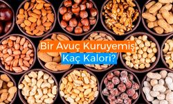 Bir Avuç Kuruyemiş Kaç Kalori? Kuruyemişlerin Kalorileri