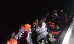79 kaçak göçmen yakalandı