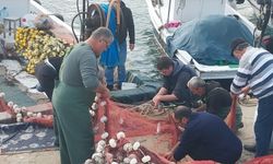 Gelibolu'da balıkçılar yaklaşık 4 bin lüfer avladı