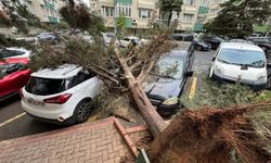 İstanbul'da fırtına hayatı felç etti