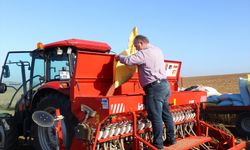 Tekirdağ'da çiftçilerin buğday ekim mesaisi başladı