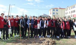Öğrenciler 260 fidanı toprakla buluşturdu