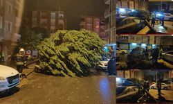 Çerkezköy’de otomobilin üzerine ağaç devrildi