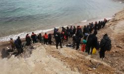 81 düzensiz göçmen kurtarıldı