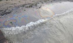 Denizde oluşan kirliliğe ilişkin inceleme başlatıldı