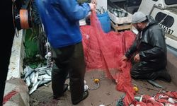 Denize açılan balıkçılar yaklaşık 1500 lüfer avladı
