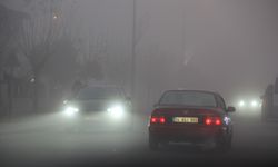 Sakarya'da yoğun sis etkili oldu