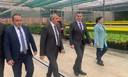 Edirne Valisi Sezer, Tekirdağ'daki termal seraları inceledi