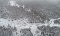 Tekirdağ'da muhteşem kar manzaraları