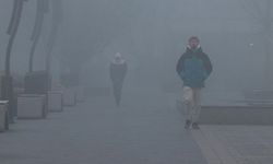 Düzce ve Sakarya'da yoğun sis etkili oldu