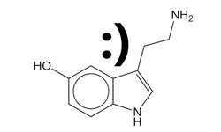 Serotonin Vücutta Ne Yapar? Serotonin Eksikliği Nelere Yol Açar?