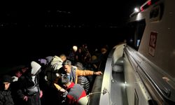 169 düzensiz göçmen yakalandı