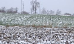 Kar buğday üreticilerini sevindirdi