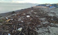 Lodosta yükselen dalgaların sahile biriktirdiği ağaç parçaları toplanıyor