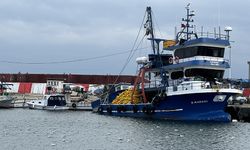 Tekirdağlı balıkçılar umduğunu Karadeniz'de arıyor