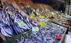 Çerkezköy’de balık fiyatları