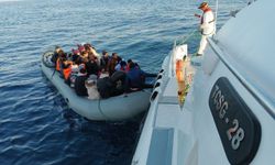 46 düzensiz göçmen yakalandı
