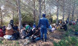 Yurt dışına kaçmaya çalışan 75 göçmen yakalandı
