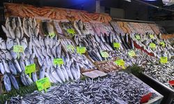 Çerkezköy balık pazarındaki fiyatlar