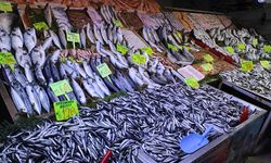 Çerkezköy’deki balık fiyatları