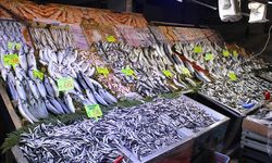 İşte Çerkezköy’deki balık fiyatları