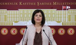 DEM Parti İstanbul adayı Meral Danış Beştaş Kimdir?