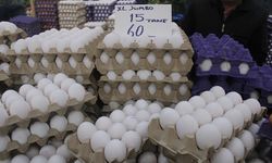 Yumurta Fiyatları 'Mayıs Çukuru'na Yuvarlandı