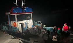 84 düzensiz göçmen yakalandı