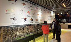Kuşcenneti Milli Parkı'nda kuş heykeli ve tahnitlerinin sergilendiği bina yenilendi