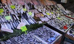 İşte Çerkezköy balık pazarında fiyatlar