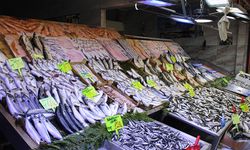 Çerkezköy balık tezgahlarında sezon sonu artışı