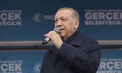 Zübük nedir? Erdoğan kime Zübük dedi?