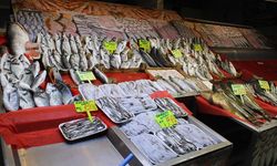 Çerkezköy'deki balık fiyatları