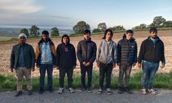 19 düzensiz göçmen yakalandı