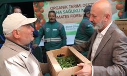Organik domates fidesi dağıtım etkinliğine davet