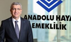 BES'ler artık teminat olabilecek