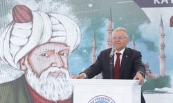 Köy okulları Mimar Sinan’ın eserleriyle süslenecek