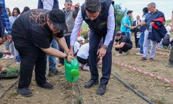 Vali Aygöl fidelere ilk suyunu verdi