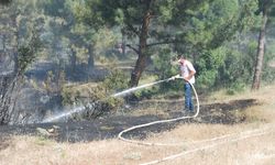 Tarım arazisinde çıkan yangın ormana sıçradı